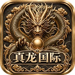 真龙国际